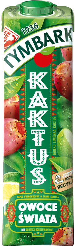 TYMOWO1-PL-ST1L-KAKTUS-V05-2