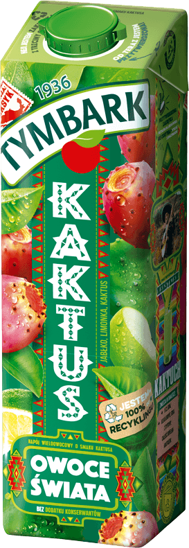 TYMOWO1-PL-ST1L-KAKTUS-V05-3