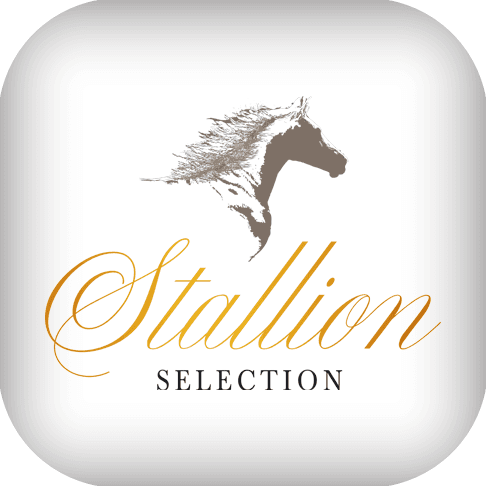 Stallion Selection