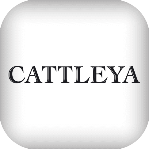 Cattleya