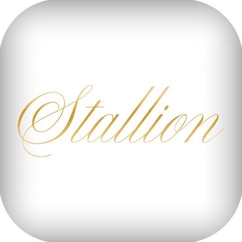 Stallion