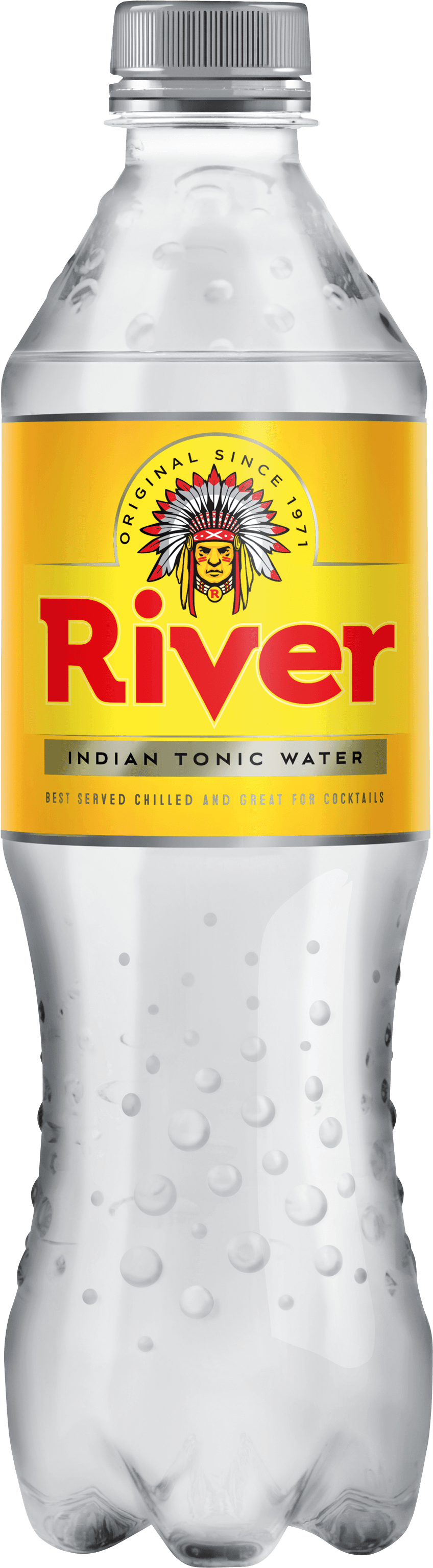 River TONIC 0,5L PET