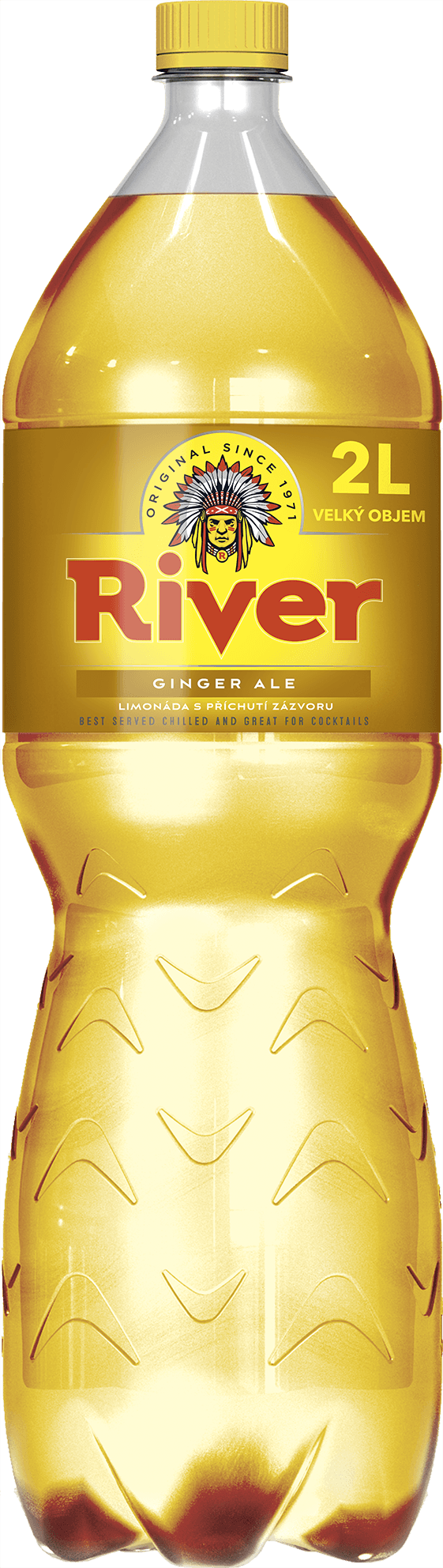 River GINGER ALE 2L PET