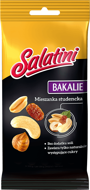 SALATINI 40 g Mieszanka studencka