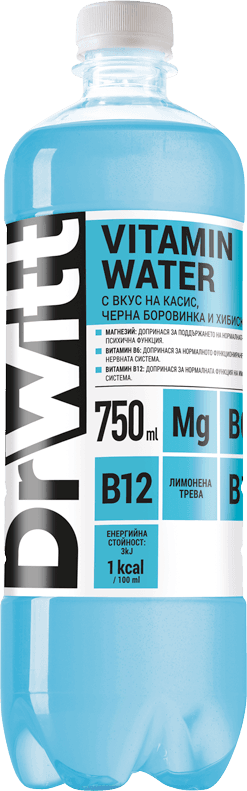 DR WITT 750 ml black currant and hibiskus