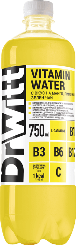 DR WITT 750 ml mango, lemon and green tea