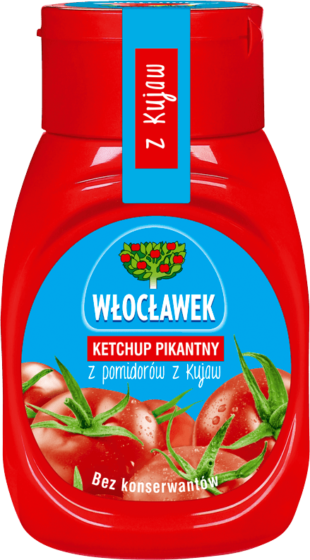 WŁOCŁAWEK 250 g hot ketchup